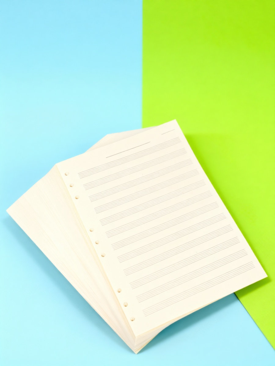 100 листов бумаги для нот, 5-л – обзор и цена Blank Sheet Music Notebook